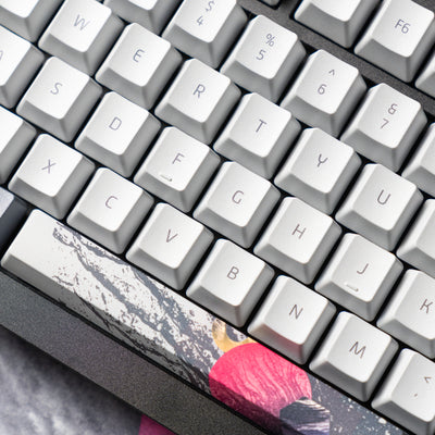 ONEofZERO Custom Keycap Set - Dye Sublimation PBT