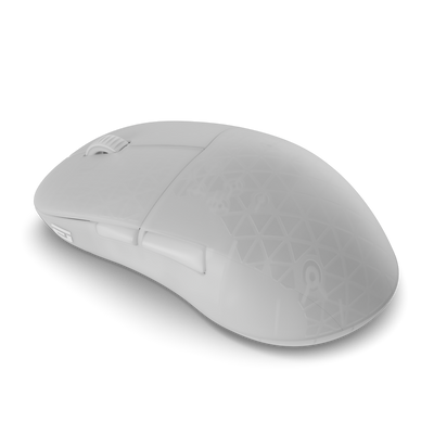 Endgame Gear XM2w 4k V2 - Wireless - 4K Polling