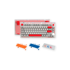 🔥 Bundle of the Month